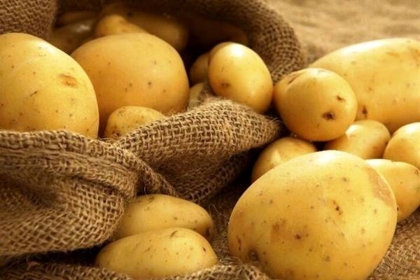 با توزیع گسترده آرامش به بازار سیب زمینی برمی گردد