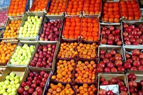 توزیع ۱۲۰ تن سیب قرمز و۱۸۰تن پرتغال شب عید در شهرستان اردبیل