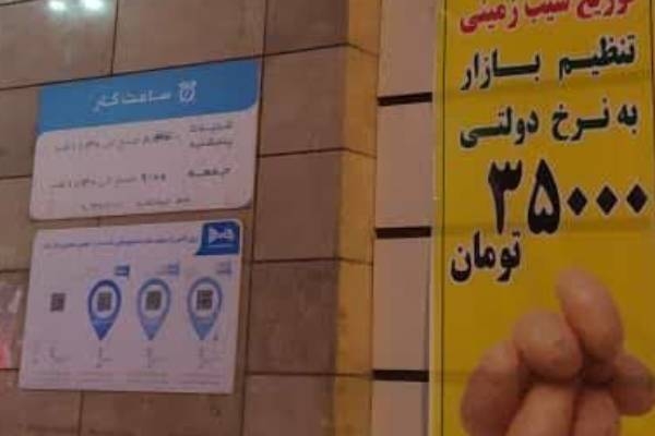 آغاز توزیع و فروش سیب زمینی با قیمت تنظیم بازار در اردبیل